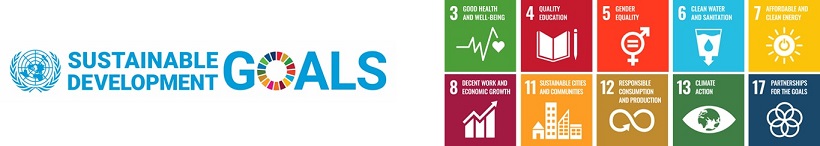 10 SDG Logos